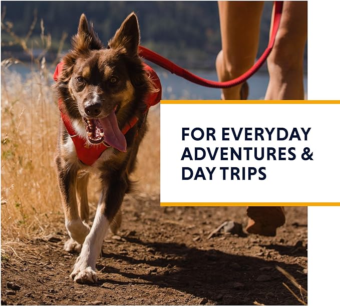 Ruffwear, Switchbak Dog Harness, Pack & Harness Hybrid for Day Trips & Everyday Use, Red Sumac, Large/X-Large