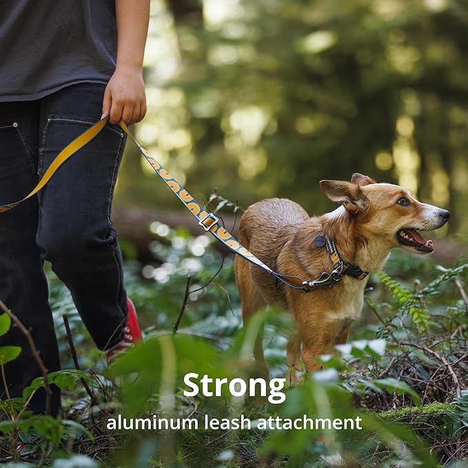 Ruffwear, Crag Dog Collar, Reflective and Comfortable Collar for Everyday Use, Alpine Dawn, 14"-20"