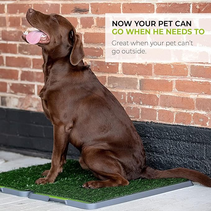 Silver Paw 3-Layer Washable Pee Pads for Dogs - Dog Grass Pad with Tray | Indoor Dog Potty for Small Dogs | Bathroom Tray for Pets | Dog Training Accessories - Large (34" x 27")