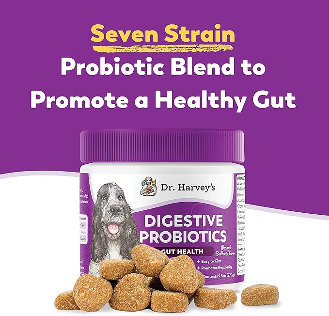 Dr. Harvey's Digestive Probiotic Soft Chews for Dogs, 7 Probiotics for Gut Health, Diarrhea and Bowel Support, Peanut Butter Flavor (90 Chews)