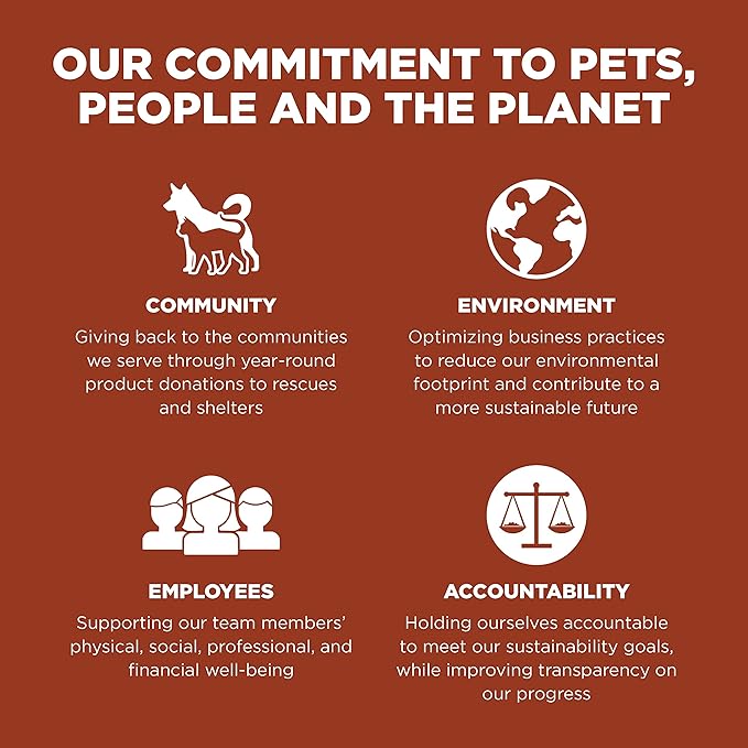 GO! SOLUTIONS Skin + Coat Care Dry Dog Food for Large Breed Adult - Salmon Recipe with Grains - Complete & Balanced Nutrition, 25 lbs