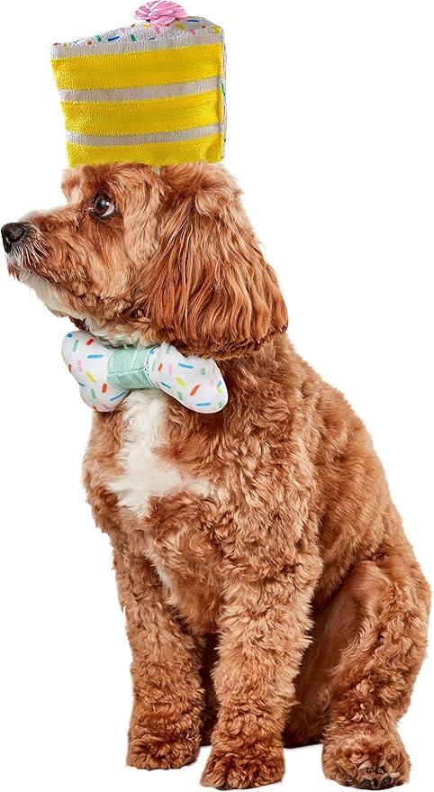 Rubie's Pet Birthday Cake Slice Hat, As Shown, Medium/Large
