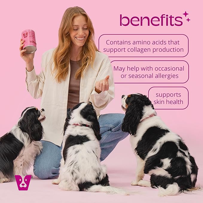 Skin Health & Seasonal Allergy Dog Chews | Quercetin, Omega-3, Bee propolis, L-Proline, L-Glycine | Supports Collagen Production, Soothes Itchy Skin & Promotes Skin Health | 90 Soft Chews