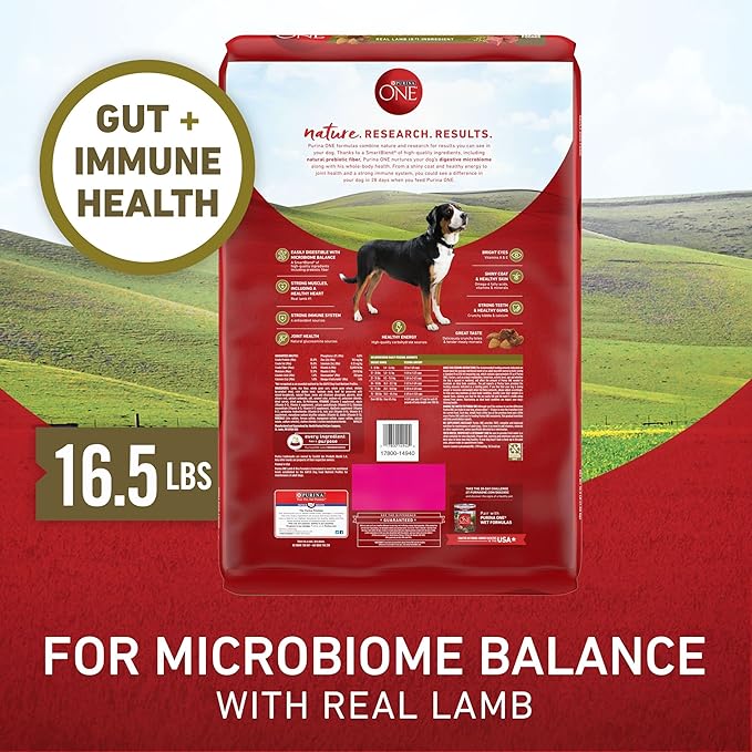 Purina ONE Dry Dog Food Lamb and Rice Formula - 16.5 lb. Bag