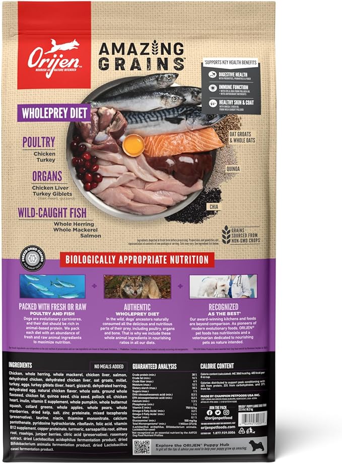 ORIJEN AMAZING GRAINS Puppy Large Dry Dog Food, High Protein Dog Food for Large and Giant Puppy Breeds, Fresh or Raw Ingredients, 22.5lb