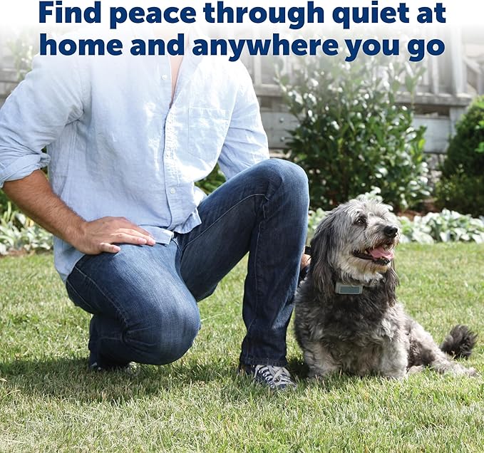 PetSafe Ultrasonic Dog Bark Training Collar for Large and Small Dogs - Static-Free Correction