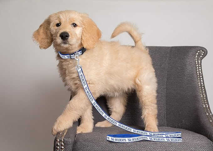 Pets First Collegiate Pet Accessories, Dog Leash, Kentucky Wildcats, Small