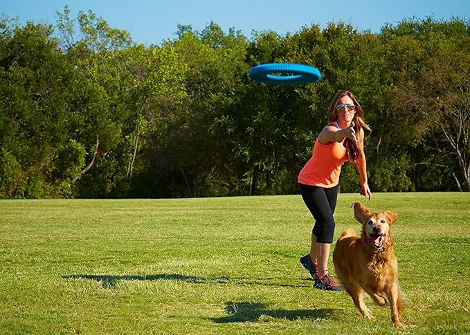 Chuckit! Rugged Flyer Dog Toy, Medium, Assorted Colors