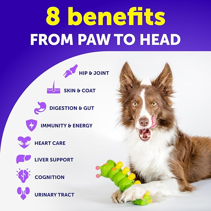 Dog Multivitamin Chewable with Glucosamine 20 in 1 - Dog Vitamins and Supplements - Senior & Puppy Multivitamin for Dogs - Pet Joint Support Health - Immunity, Mobility, Gut Skin - 120 Chews