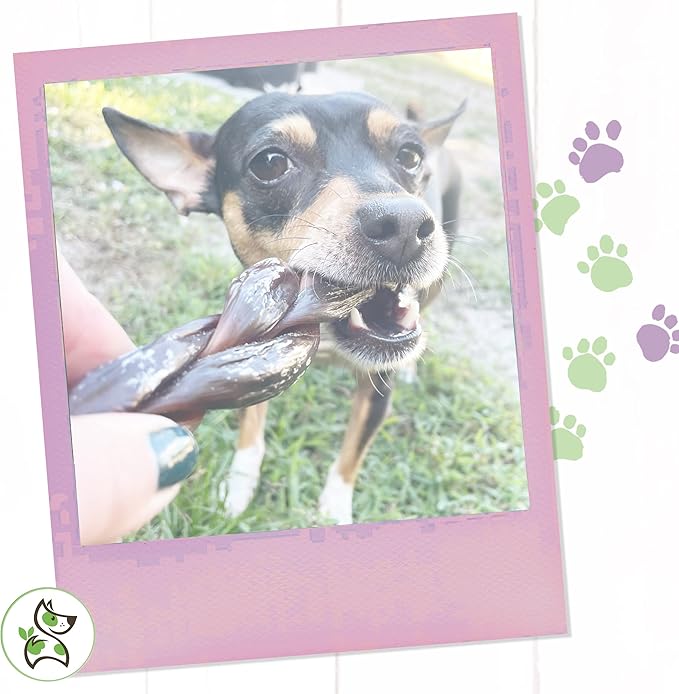 Nature Gnaws Braided Gnaws for Dogs - Premium Natural Beef Dog Chew Treats - Combo of Bully Sticks, Gullet Jerky and Tripe Twists - Rawhide Free