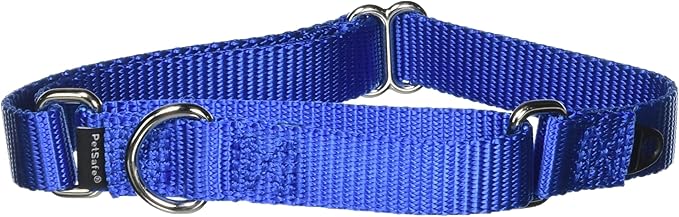 PetSafe Martingale Collar, 3/4" Medium, Royal Blue