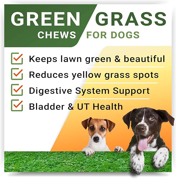 StrellaLab Grass Restore Treats for Dogs - Dog Pee Lawn Repair Chew Probiotics + Digestive Enzymes, Cranberry - Dog Urine Neutralizer for Grass Burn Spots - Health & Wellness Supplements for Dog