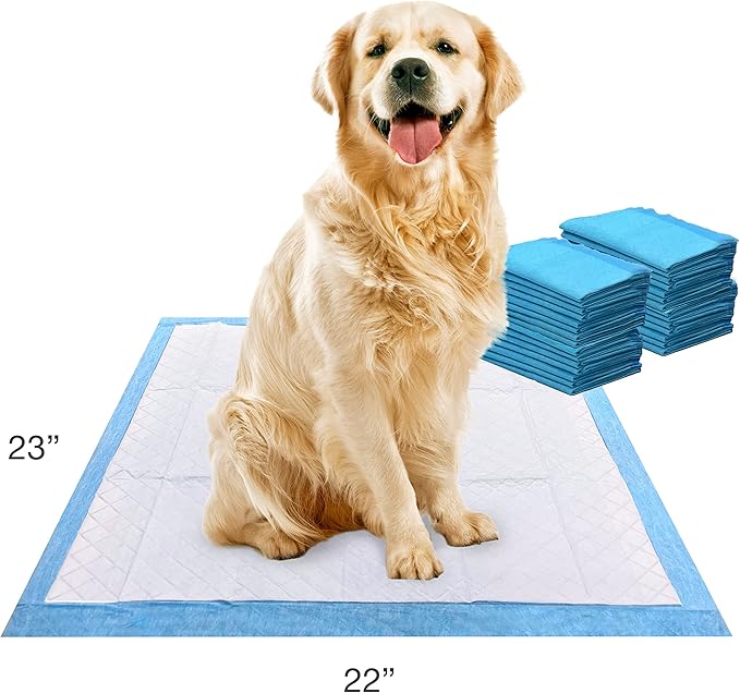 Four Paws Wee-Wee Superior Performance Pee Pads for Dogs of All Sizes, Leak-Proof Floor Protection Dog & Puppy Quilted Potty Training Pads, Unscented, 22" x 23" (30 Count)