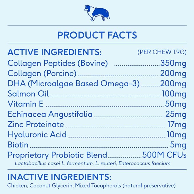Native Pet Skin and Coat Chews for Dogs - Made with Wild-Caught Salmon Oil for Dogs Skin and Coat - Omega 3 for Dogs - Dog Shedding Supplement and Dog Hair Loss Treatment (60 Chews)