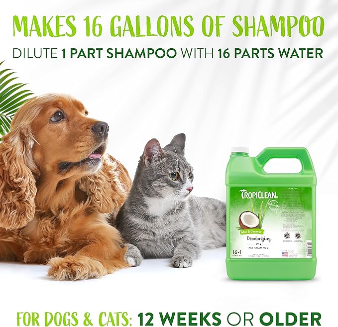 TropiClean Aloe & Coconut Deodorizing Dog Shampoo for Smelly Dogs | Odor Control Shampoo for Stinky Dogs | Natural Pet Shampoo Derived from Natural Ingredients | Cat Friendly | Made in the USA | 1 gal