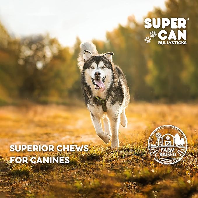 SUPER CAN BULLYSTICKS Beef Gullet Sticks for Dogs 12" (4 count) | Natural Beef Sticks Jerky Chews for Puppies & Small Dogs | Glucosamine Rich Dog Treats for Healthy Joints | Softer Than Bully Sticks