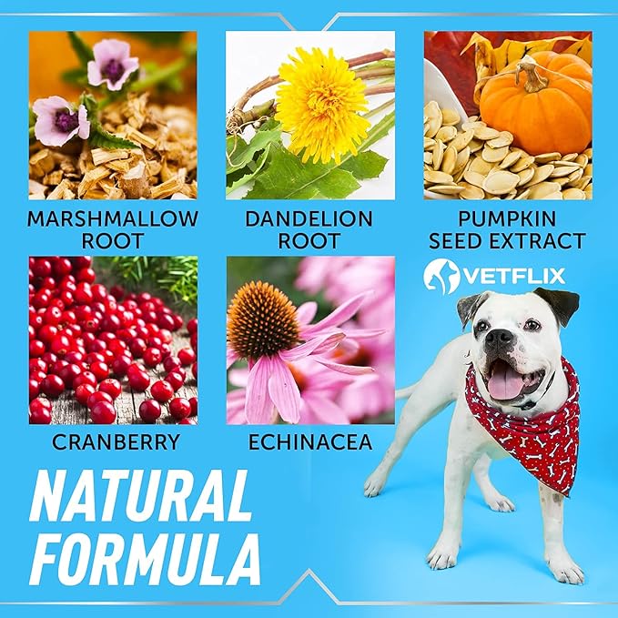 Cranberry Dog & Cat UTI Treatment - Best UTI for Pets - Made in USA - Dog & Cat Kidney Support - Cat Bladder Drops - Pet Immune Health Supplement - Marshmallow, Dandelion Root, Pumpkin Seed