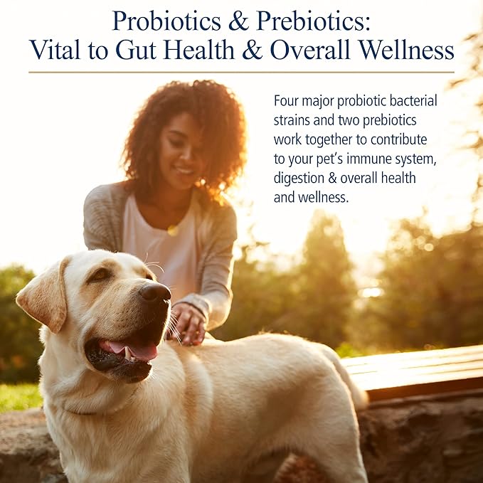 Rx Biotic for Pets 2.12 oz Powder - Professional Veterinary Formulas - Hypoallergenic & Vegetarian