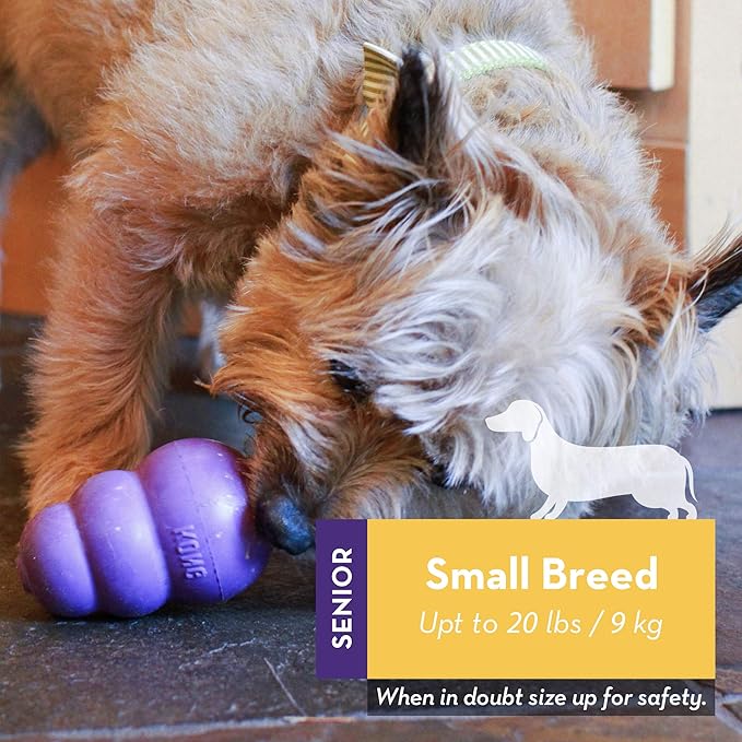 KONG Senior - Dog Toy with Gentle, Natural Rubber - Durable Dog Toy for Older Dogs - Use Treats with Stuffable Chew Toy - Treat Toy for Chewing & Fetching - for Small Dogs