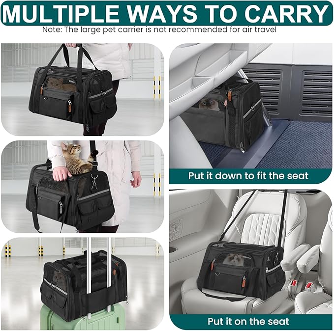 Pet Carrier for 2 Kittens/Large Cats Up to 20 lbs Maximum/Soft-Sided Small Dog Travel Top Entry/Sturdy Collapsible Carrier Bag for Medium Cats