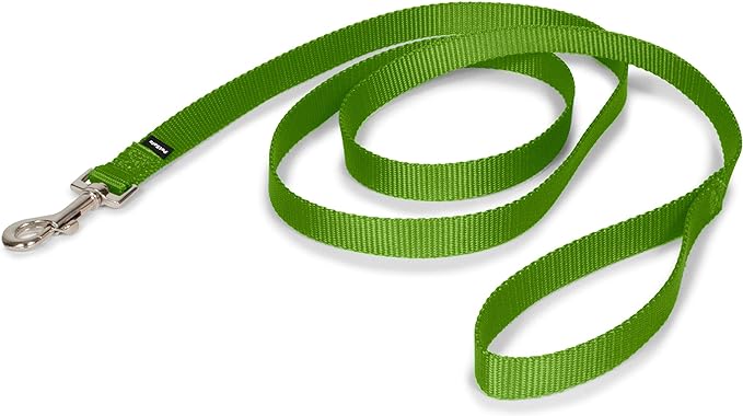 PetSafe Nylon Dog Leash - Strong, Durable, Traditional Style Leash with Easy to Use Bolt Snap - 3/4 in. x 6 ft., Apple Green