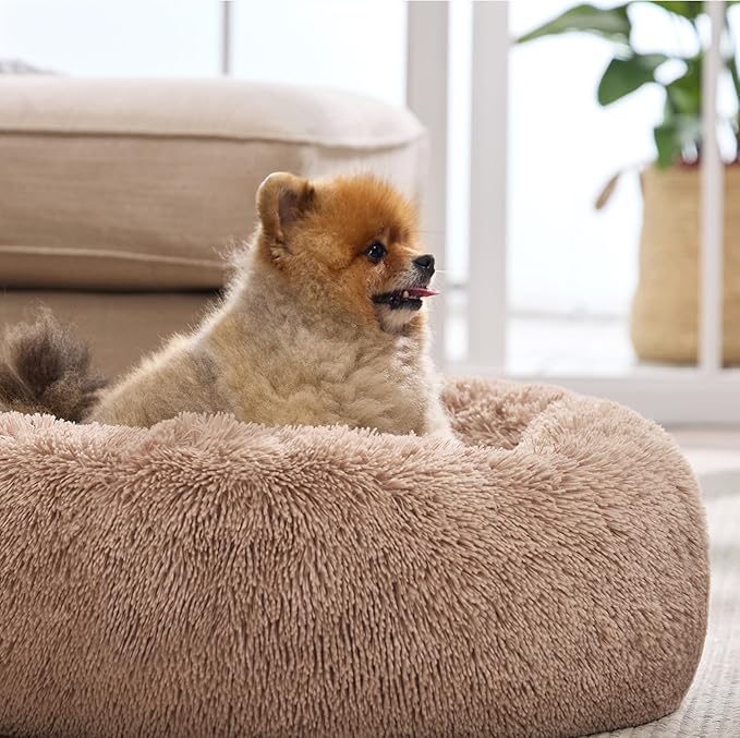 Bedsure Calming Dog Bed for Small Dogs - Donut Washable Small Pet Bed, 23 inches Anti-Slip Round Fluffy Plush Faux Fur Large Cat Bed, Fits up to 25 lbs Pets, Camel