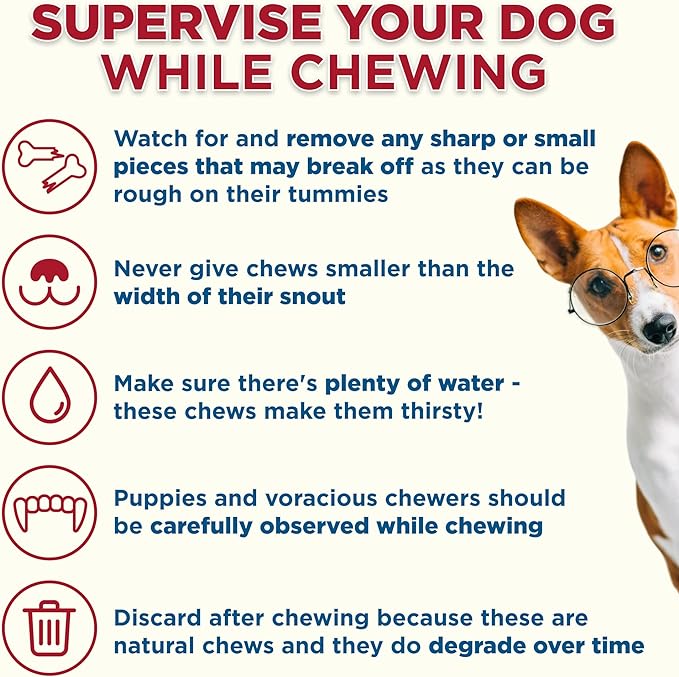 Best Bully Sticks Marrow Bones for Dogs, 3 Pack - USA Packed Healthy Dog Treats, Dog Bones for Large Dogs - Grass-Fed Beef Long Lasting Dog Chews