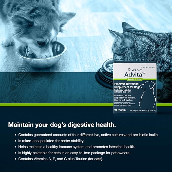 Vet One Advita™ Probiotic Powder for Dogs, a Daily Nutritional Supplement to Maintain Immune System, Appetite, & Digestion in 30, 1g Packets (3-Pack)
