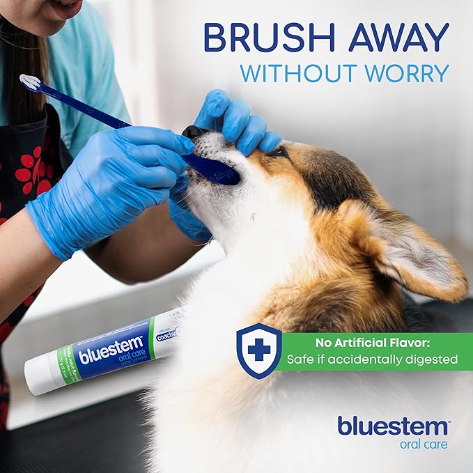 Bluestem Dog Tooth Brushing Kit - Dog Toothpaste with Coactiv+ Technology to Reduce Tartar Buildup - Easy to Use Dog Teeth Cleaning Kit - Sticky and Long-Lasting, Vanilla Mint Flavor