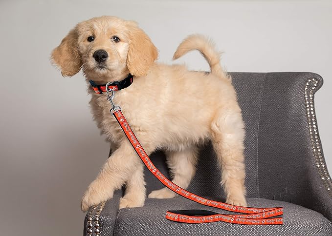 MLB PET Leash, Small, Baltimore Orioles Dog Leash, Baseball Team Leash for Dogs & Cats. A Shiny & Colorful Dog & Cat Leash with Emboridered Team Name/Logo Licensed by the MLB