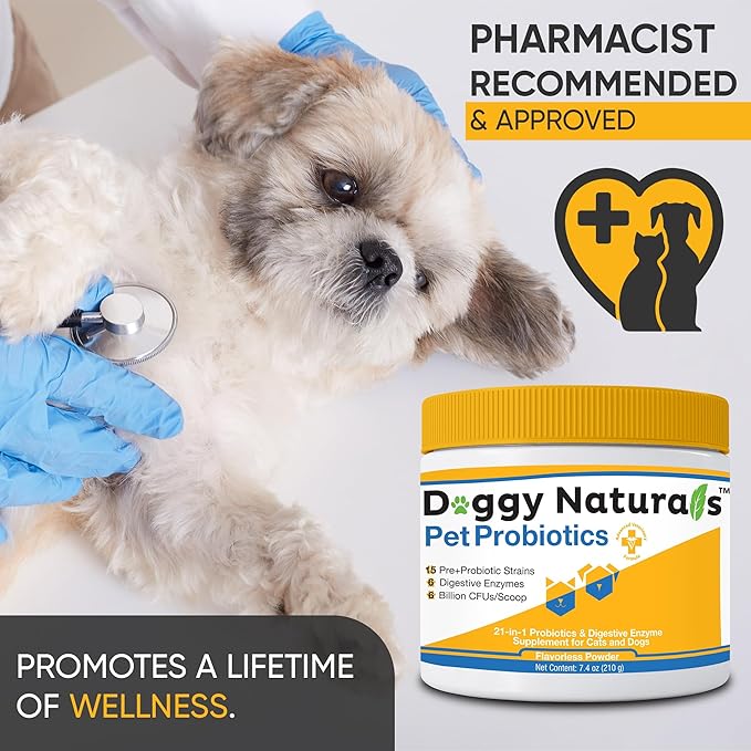 Probiotics for Dogs and Cats - Advanced Max-Strength Digestive Health, Increase & Maintain Proper Gut Flora- All Natural Probiotics Powder - (Made in USA) 7.4 Oz (6 Billion CFU Per Scoop)