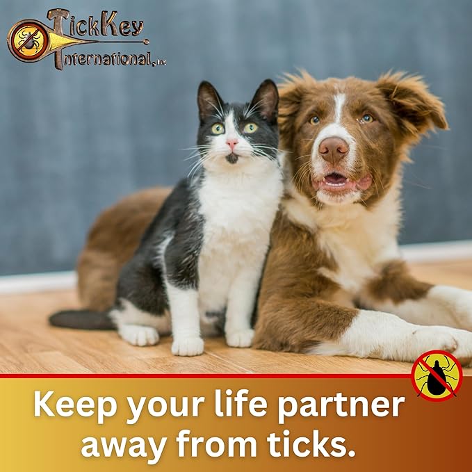 The Original Tick Key -Tick Detaching Device - Portable, Safe and Highly Effective Tick Detaching Tool - 3 Pack (Earth)