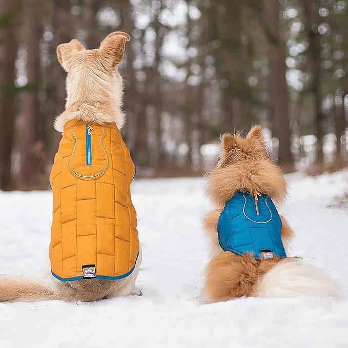 Kurgo Loft Dog Jacket, Reversible Dog Coat, Wear with Harness or Sweater, Water Resistant, Reflective, Winter Coat for Small Dogs (Coastal Blue, S)