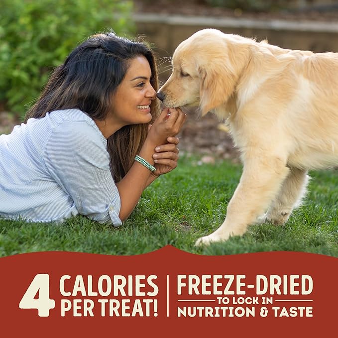 ACANA Singles Freeze Dried Dog Treats, Limited Ingredient Grain Free Beef & Pumpkin Recipe, 1.25oz