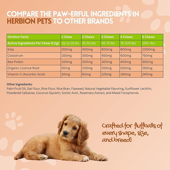 Herbion Pets Allergy + Immune Chews with Kelp & Vitamin C, 120 Soft Chews - Supports Immunity, Skin and Coat Health - Relieves Itchy Skin - Made in USA - Natural Vegetable Flavor - for Dogs 12 Weeks+