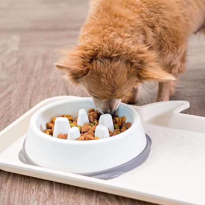 IRIS USA 2 Cups Slow Feeder Dog Bowl, Anti-Choking, Anti-Slip, Easy to Clean, Interactive Puzzle Toy, Healthy Digestion, Long snouted, Dogs Cats & Other Pets, BPA, PVC, Phthalate Free, White/Gray
