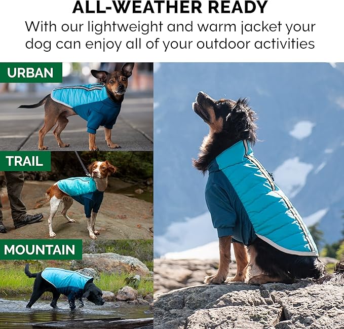 Furhaven Water-Repellent Small Dog Coat, Washable w/ Leash Access & Stretch Fabric - Pro-Fit Active Jacket - Aquamarine, Small