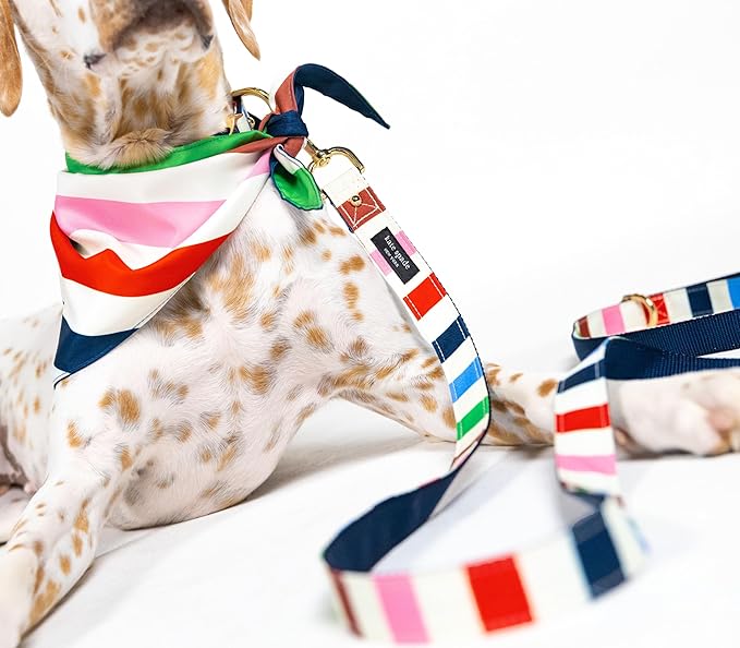 Kate Spade New York Heavy Duty Leash for Female or Male Dogs, Cute Pet Leash with Gold Metal Hardware, Long Dog Lead for Small Medium Large Breeds (Large, Adventure Stripe)