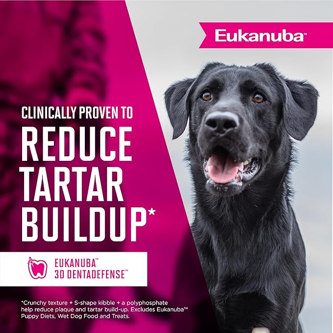 Eukanuba Senior Large Breed Dry Dog Food, 30 lb