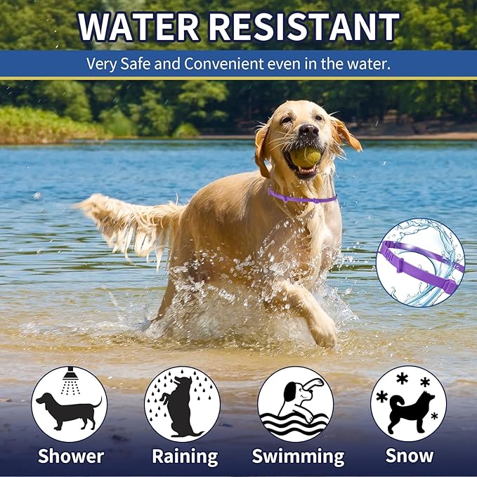 4 Pack Flea Collar for Dogs, 8 Months Flea and Tick Collar for Dogs Puppies, Flea and Tick Prevention for Dogs, Adjustable Waterproof Dog Flea Collar, Dog Flea and Tick Treatment-Gray Purple