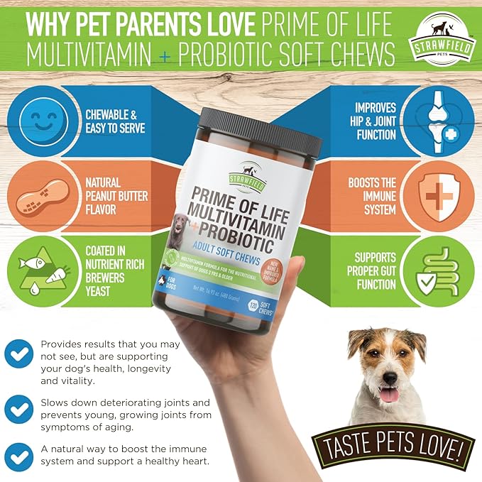 Strawfield Pets Dog Multivitamin + Dog Probiotics Soft Chews | Glucosamine Chondroitin, Probiotics, Omega 3 | Dog Supplements & Vitamins | Dog Health Supplies | 120 Grain Free Chews, USA