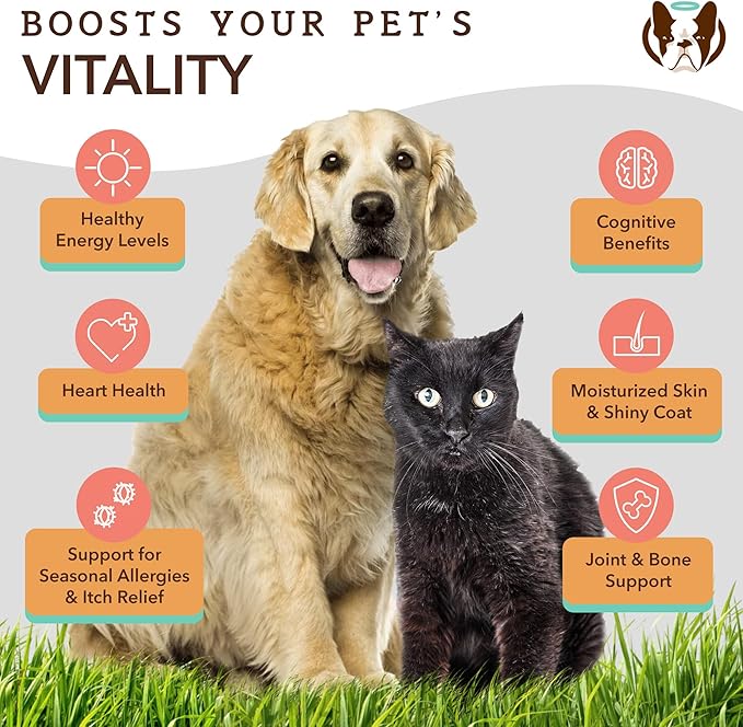 Natural Dog Company Coldwater Atlantic Salmon Oil for Dogs (16oz) - Senior Dog Fish Oil Supplement with Omega 3, Easy to digest for Senior Dog Fish Oil, Liquid Dog fish oil Joint Support Supplement