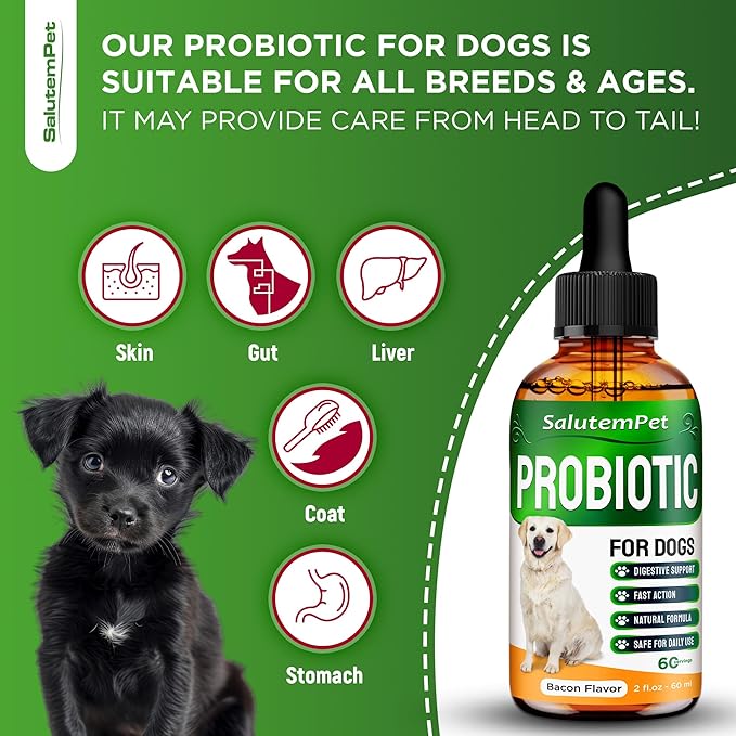 Probiotics for Dogs | Liquid Probiotics for Dogs | Prebiotic for Dogs & Digestive Enzymes | Puppy Probiotic | Dog Probiotics and Digestive Enzymes | 2 Oz