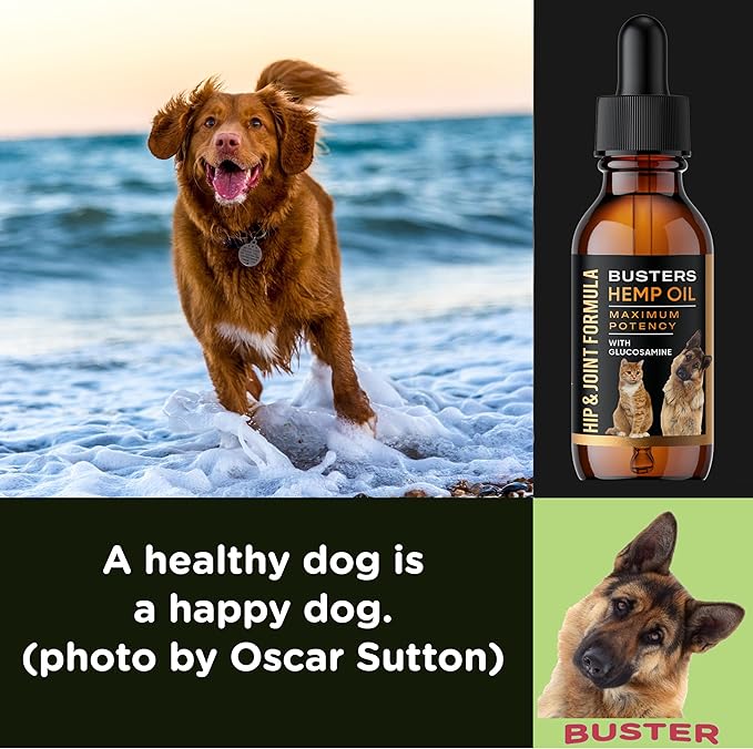 Busters Hip and Joint Hemp Oil Formula enriched with Glucosamine, Pain Relief for Dogs and Pets, Arthritis, and Advanced Mobility Support
