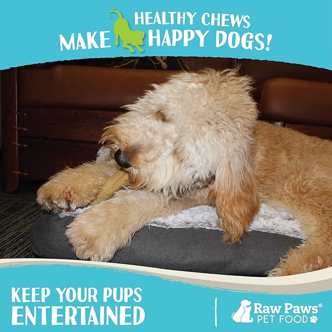 Raw Paws 5-inch Compressed Rawhide Rolls for Dogs, 20-ct - Packed in The USA - Pressed Rawhides for Dogs - Free-Range Raw Dog Hide Chews - Natural Rawhide Dog Chew Sticks for Puppies & Small Dogs