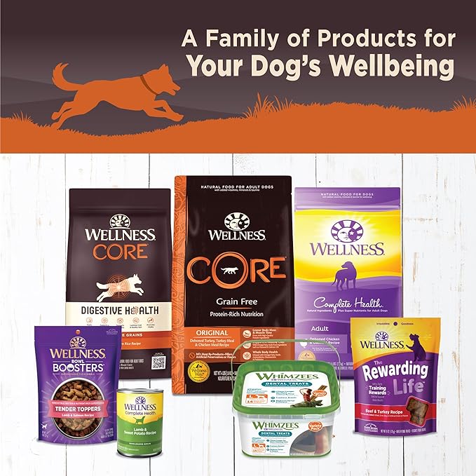 Wellness Natural Pet Food CORE Natural Wet Grain Free Canned Dog Food, Turkey & Chicken, 12.5-Ounce Can (Pack of 12)