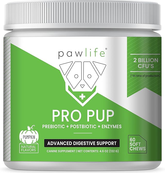 Probiotic Chews for Dogs - Pro Pup Dog Probiotics, Veterinarian Formulated Dog Probiotics and Digestive Enzymes, Dog Gut Health Probiotics, Natural Dog Gas Relief (Pumpkin Flavor)