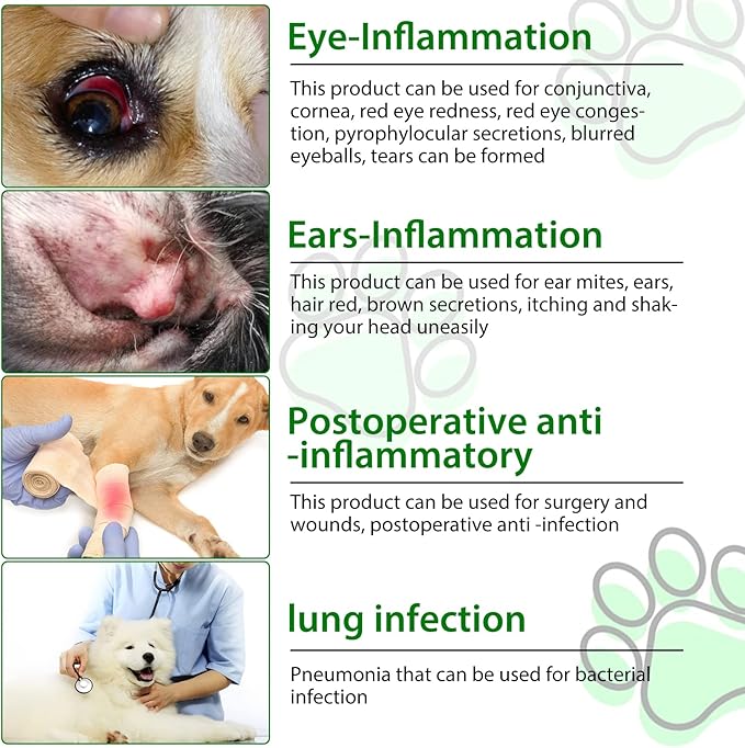 Antibiotics for Dogs, Natural Dog Antibiotics Supports Dog Allergy and Itch Relief, Dog Supplies Antibiotics, Dog Multivitamin for Pets, Bacon Flavor - 60ml x 2