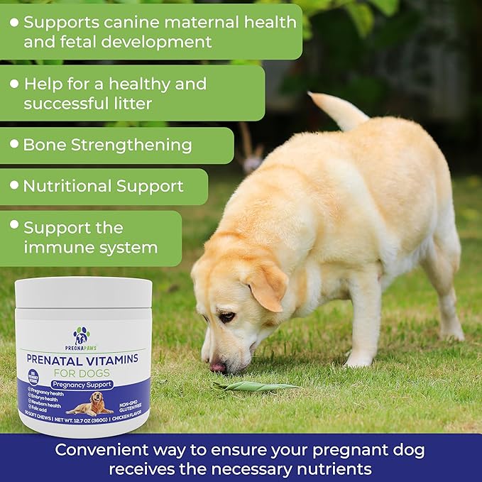 Prenatal Multivitamin Soft Chews for Dogs, 90 Count - Dog Prenatal Vitamins with Folic Acid, Zinc, and Calcium - Supports Milk Production - Delicious Chicken Flavor