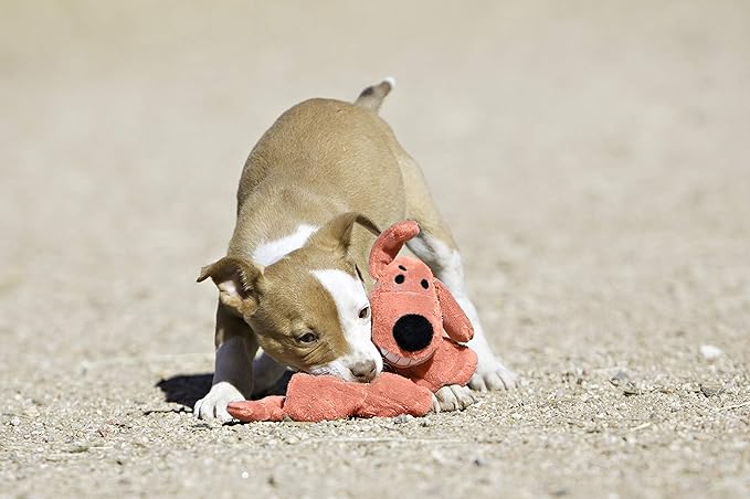 Multipet's Original Loofa Jumbo Dog Toy in Assorted Colors, 24-Inch
